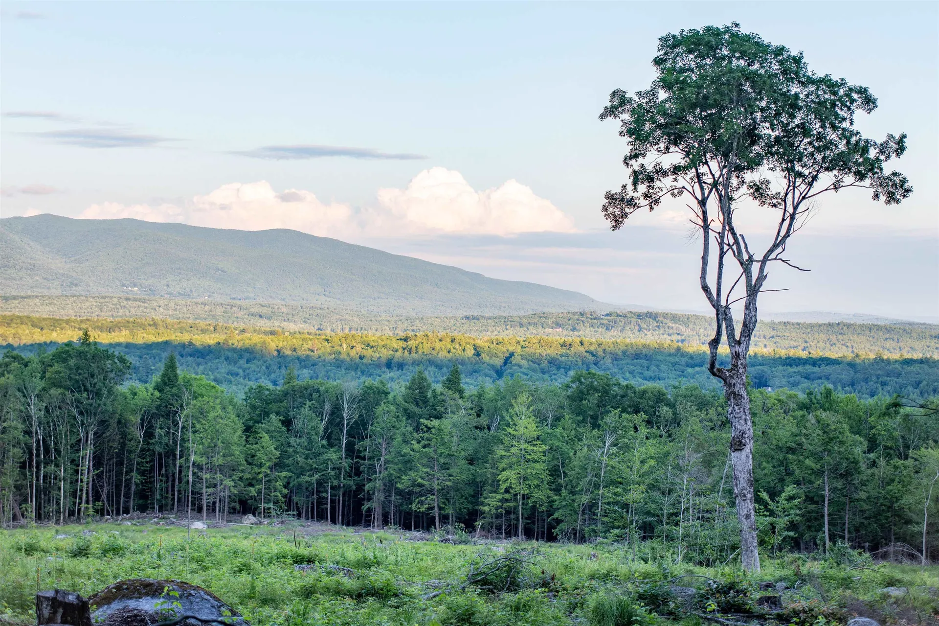 302 Mount Israel Road Sandwich NH 03227