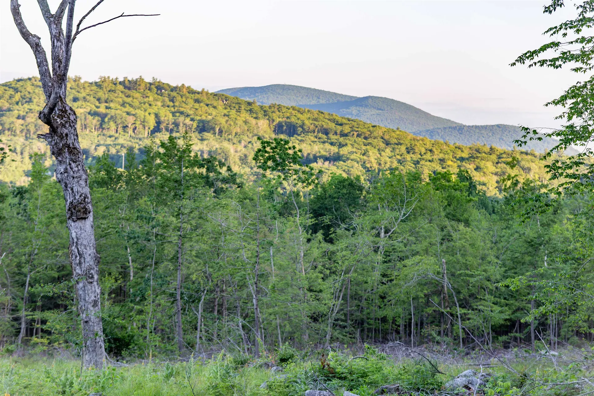 302 Mount Israel Road Sandwich NH 03227