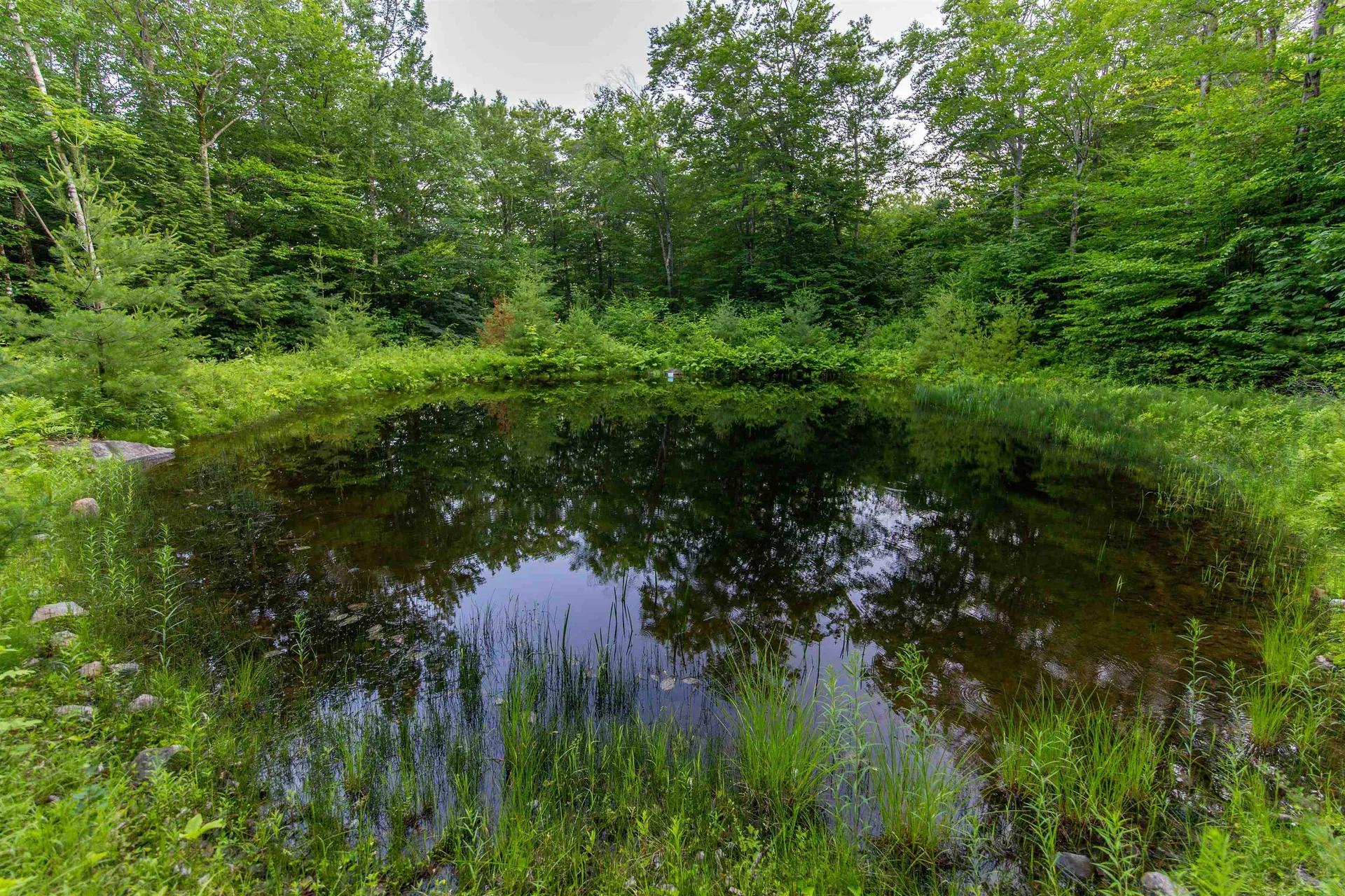 302 Mount Israel Road Sandwich NH 03227