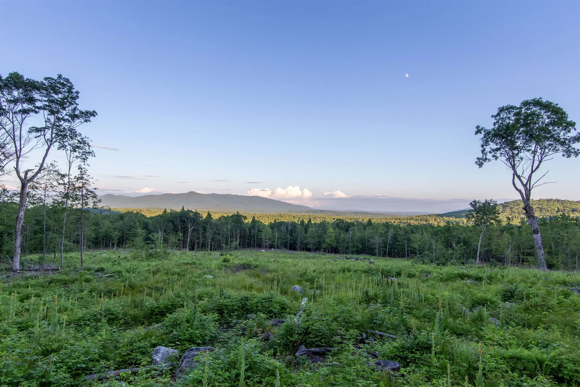 302 Mount Israel Road Sandwich NH 03227