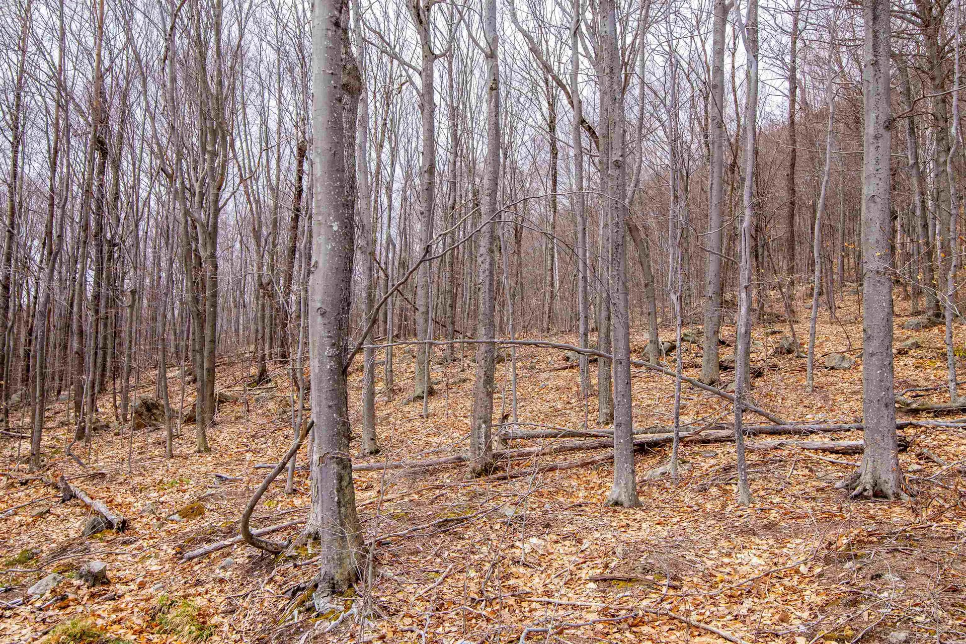 302 Mount Israel Road Sandwich NH 03227