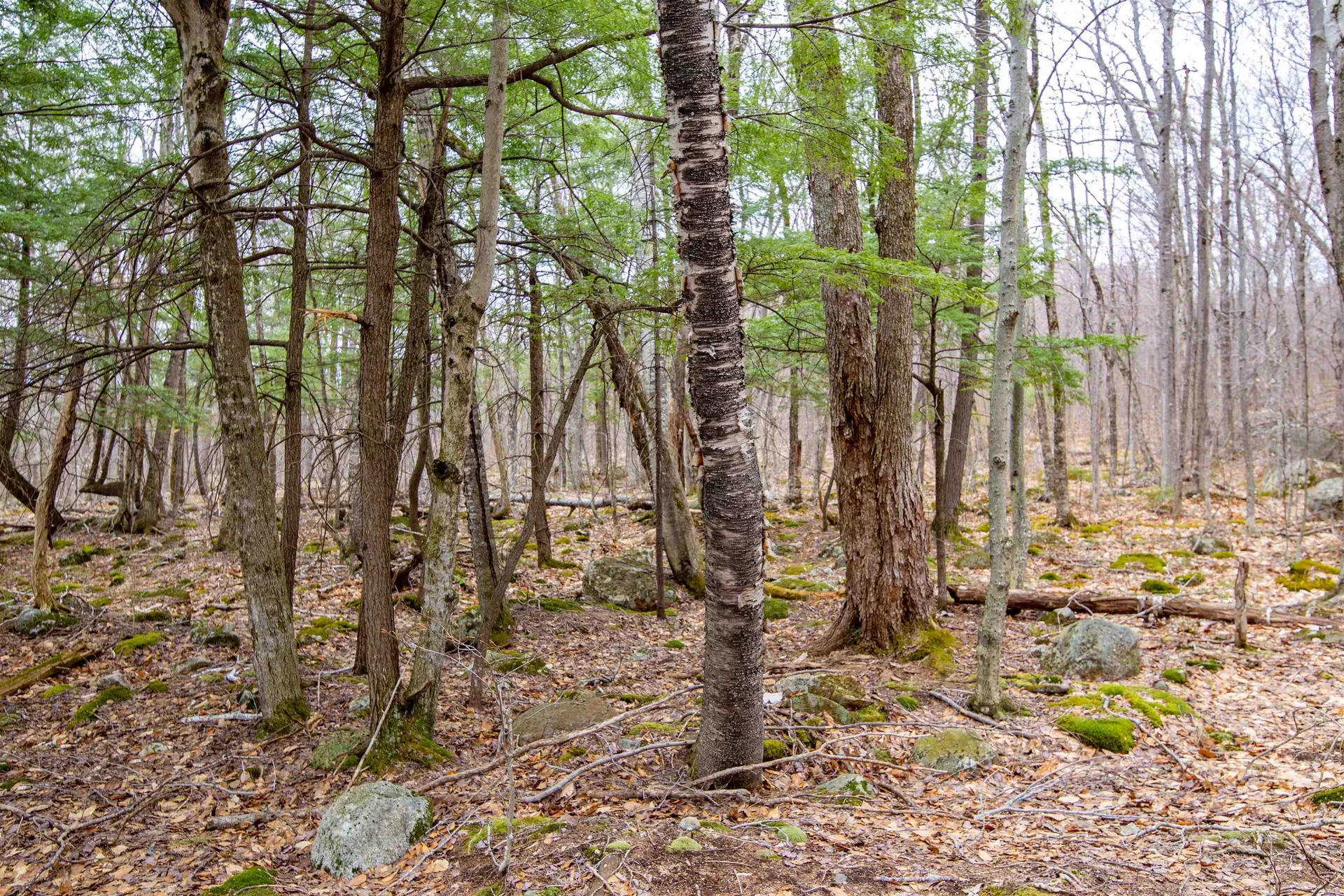 302 Mount Israel Road Sandwich NH 03227