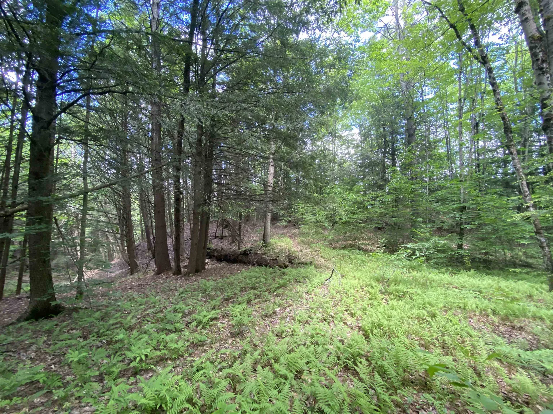 47 East Countryside Road Waterbury VT 05676