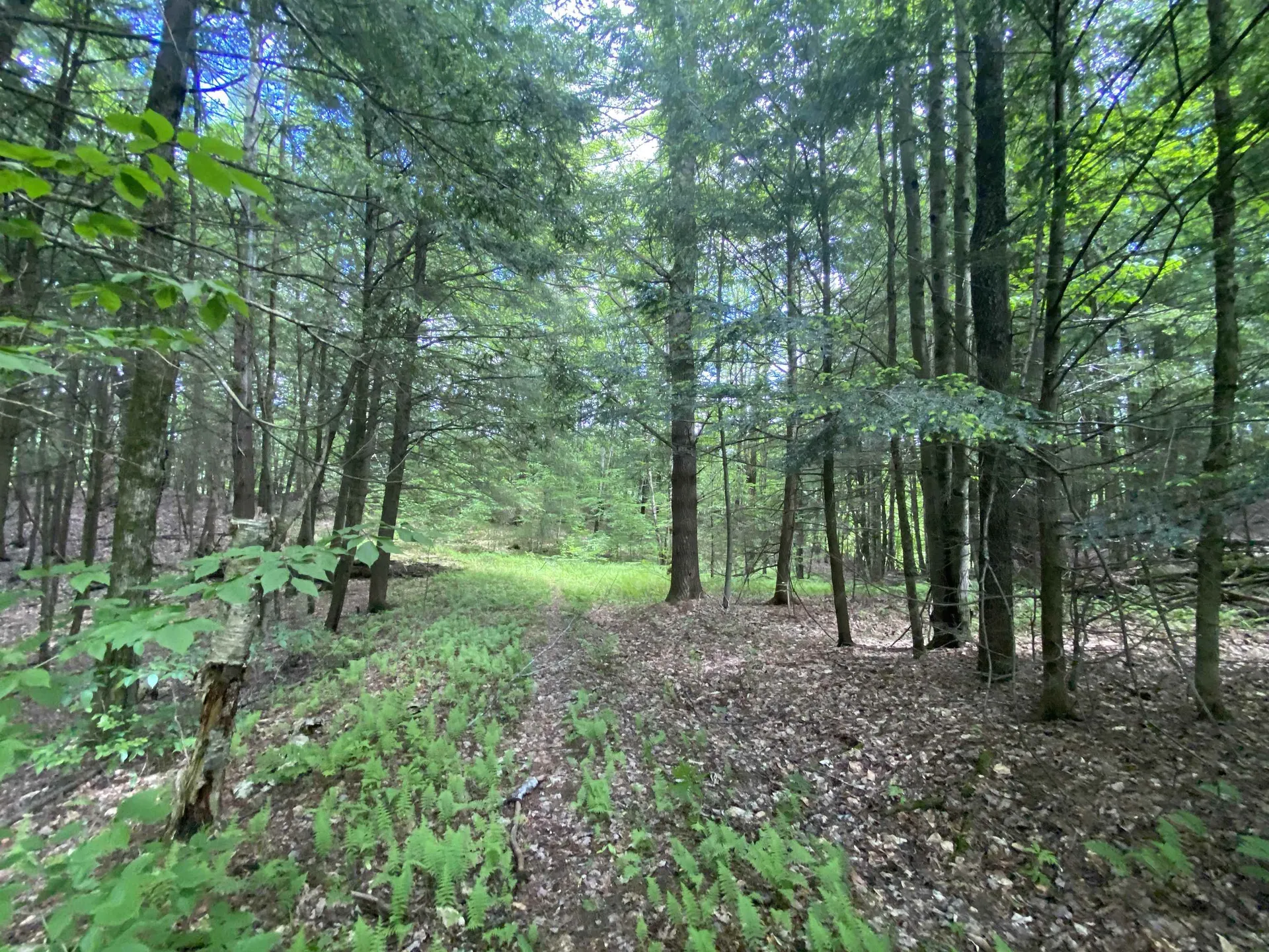 47 East Countryside Road Waterbury VT 05676