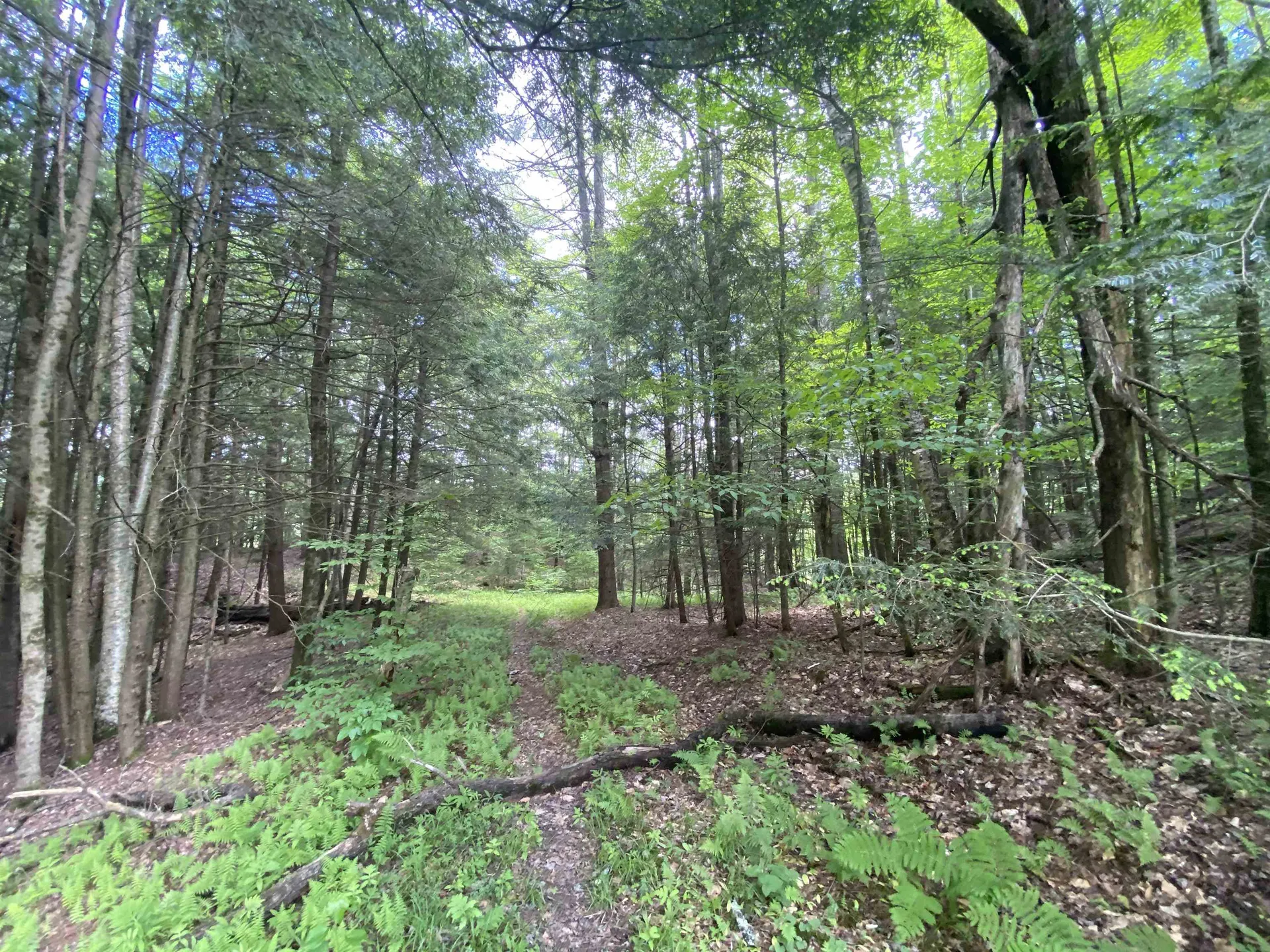 47 East Countryside Road Waterbury VT 05676