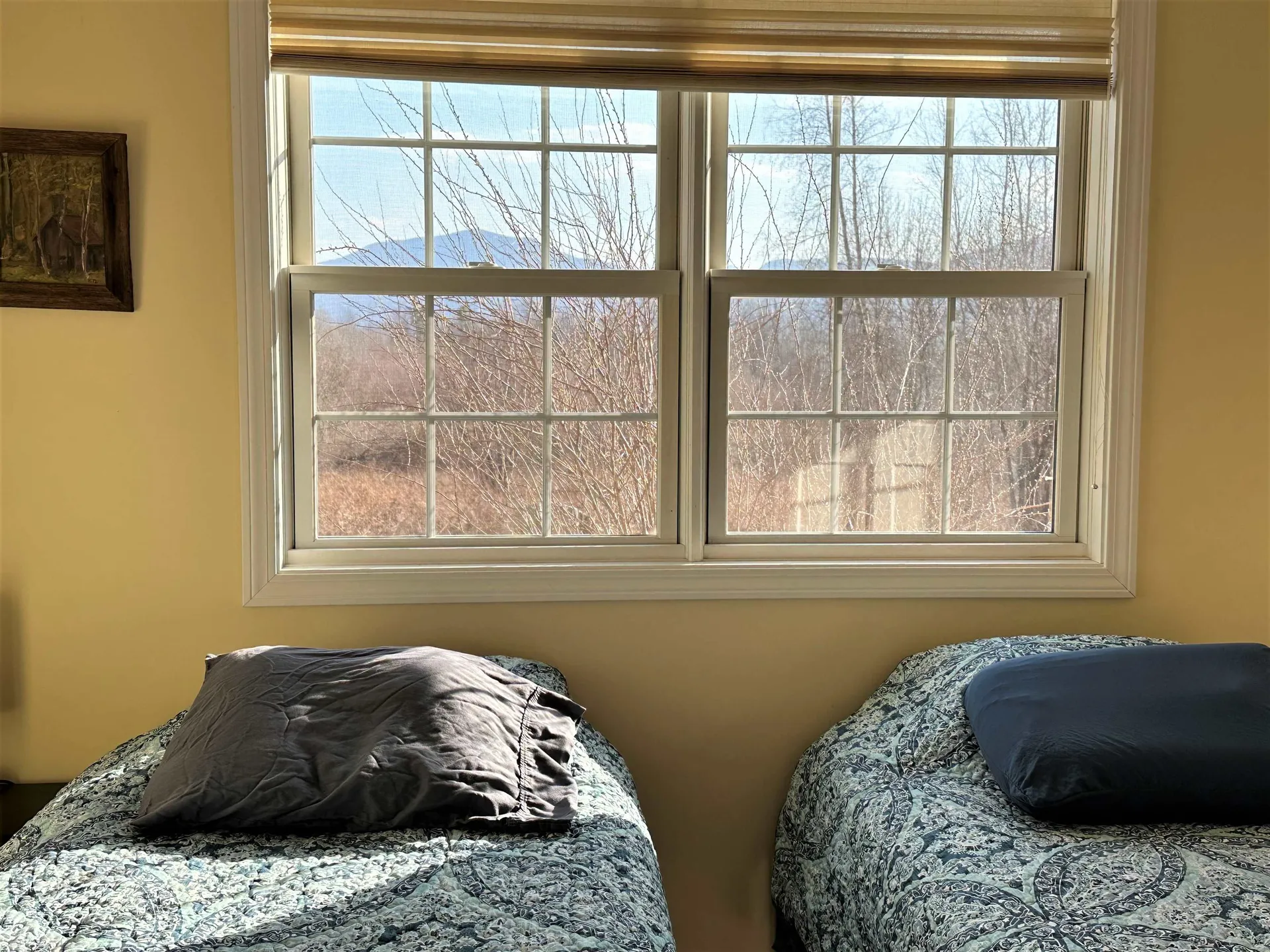 56 Provoncha Drive Johnson VT 05656
