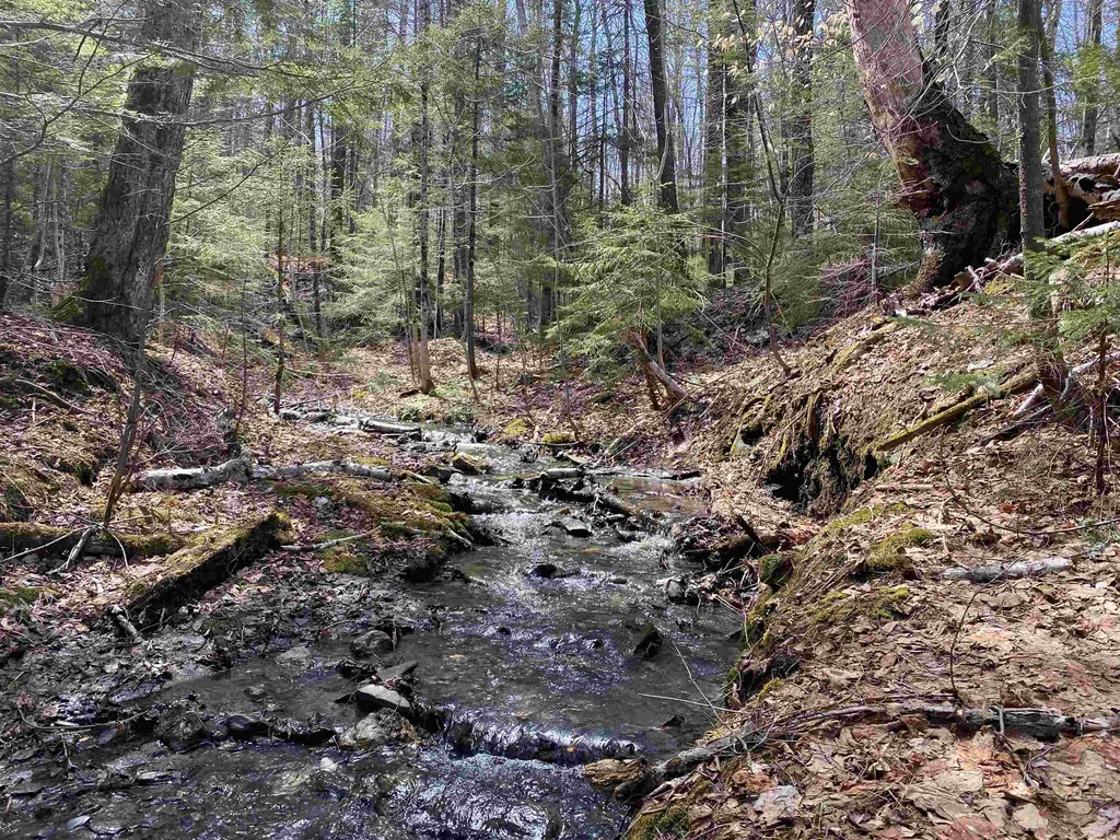 0 Williamstown Road Chelsea VT 05038