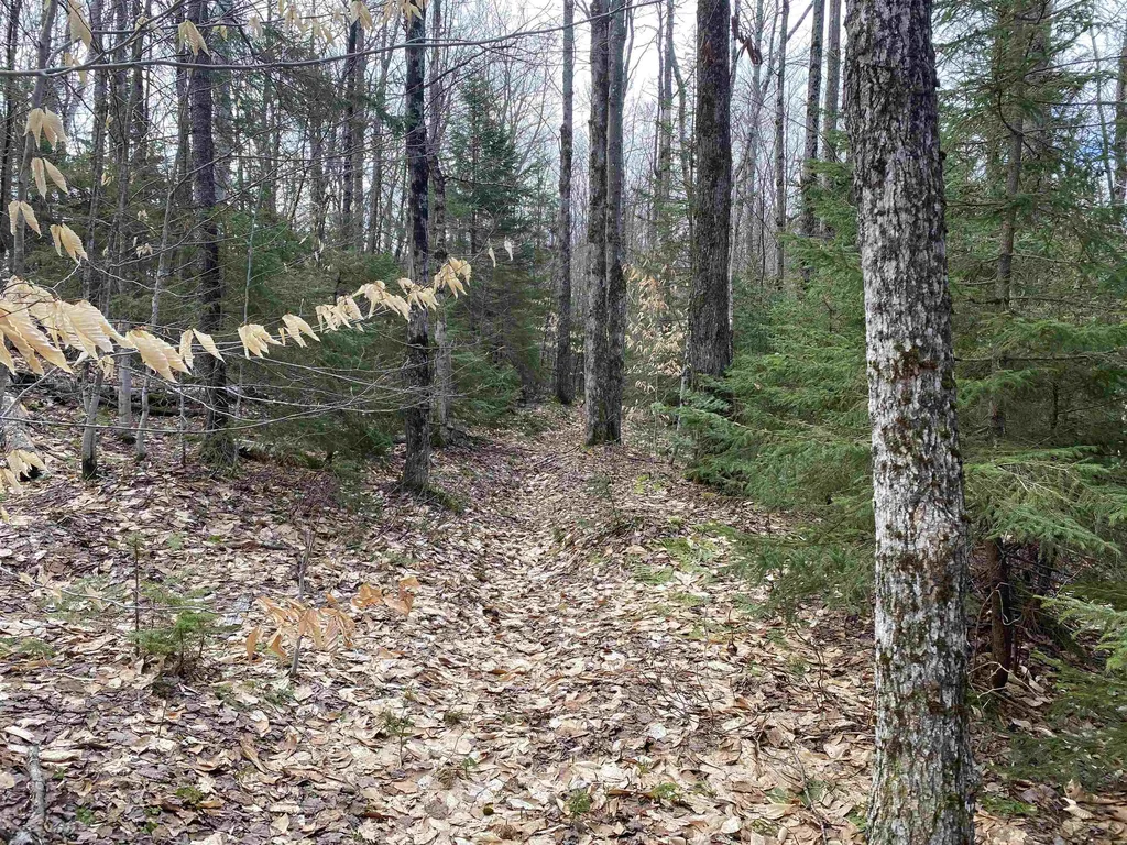 0 Williamstown Road Chelsea VT 05038