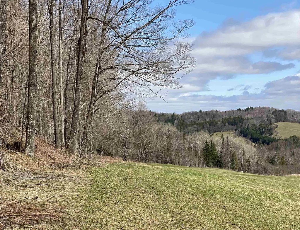 0 Williamstown Road Chelsea VT 05038