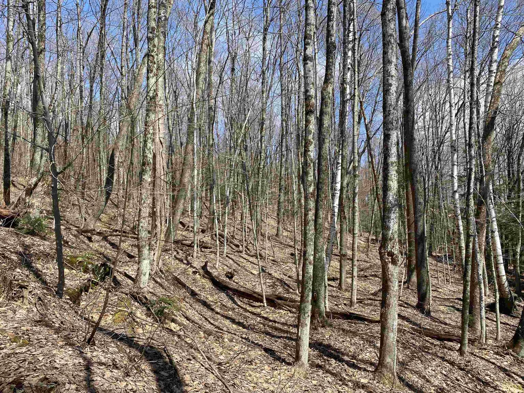 0 Williamstown Road Chelsea VT 05038