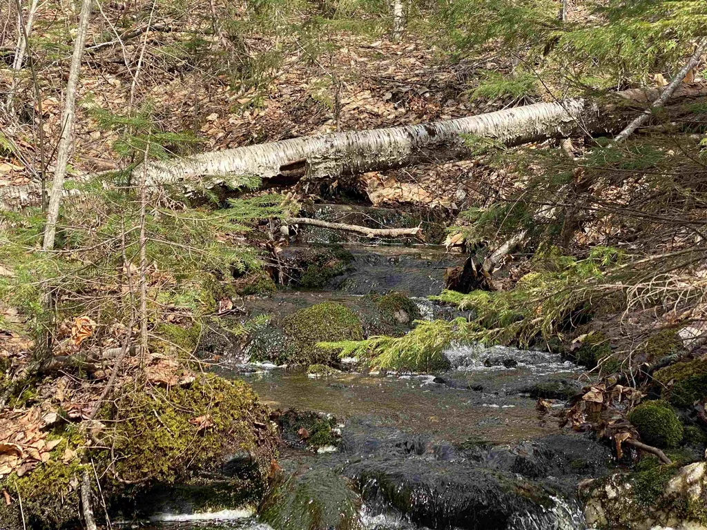 0 Williamstown Road Chelsea VT 05038