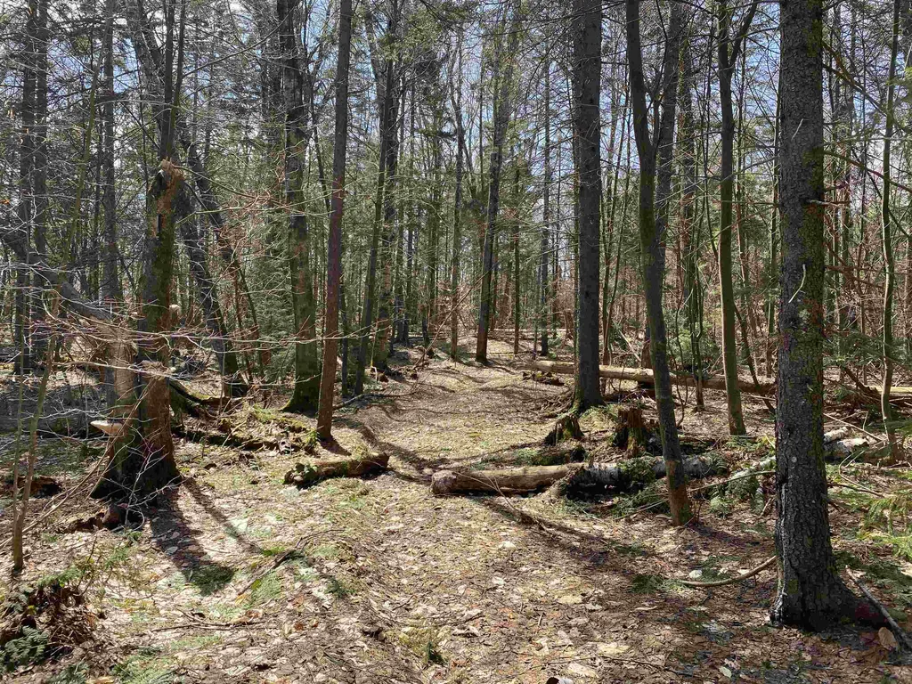 0 Williamstown Road Chelsea VT 05038