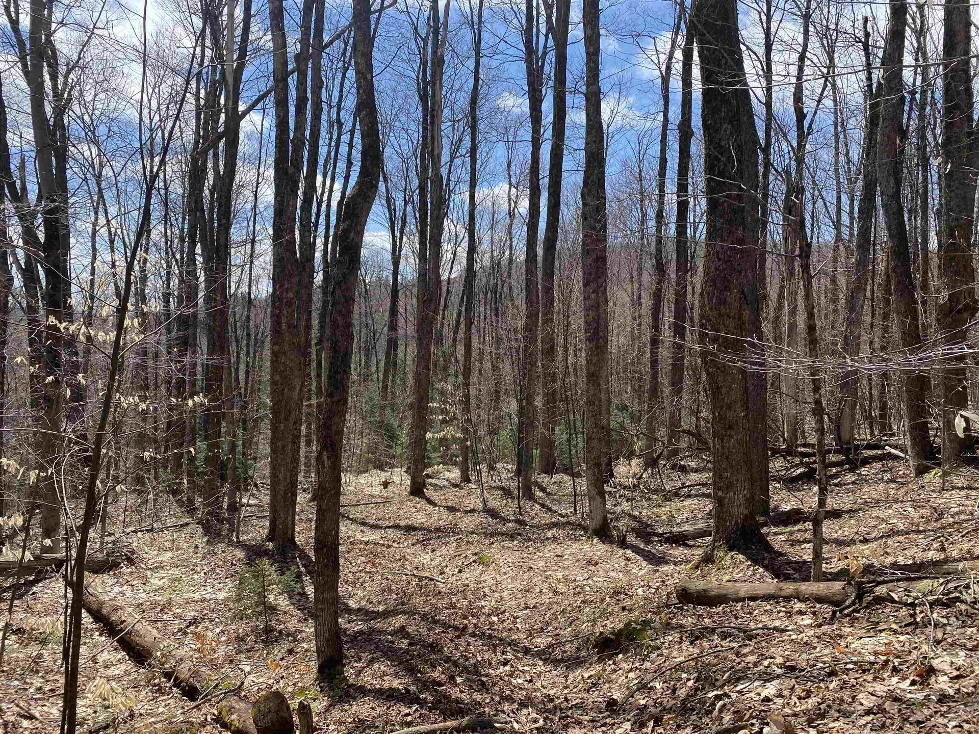 0 Williamstown Road Chelsea VT 05038