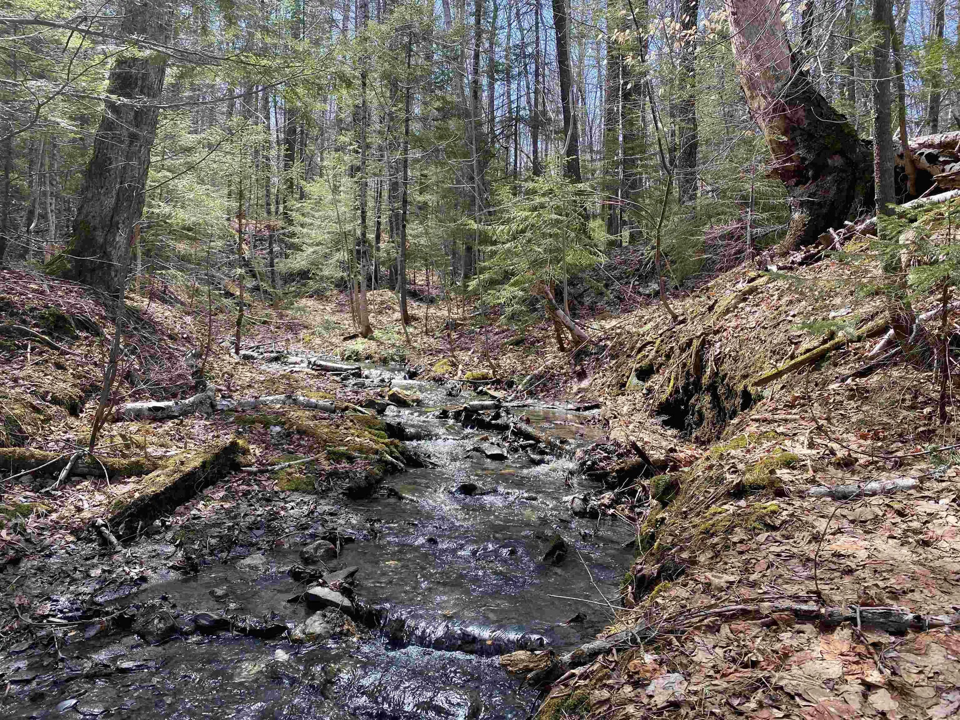 0 Williamstown Road Chelsea VT 05038