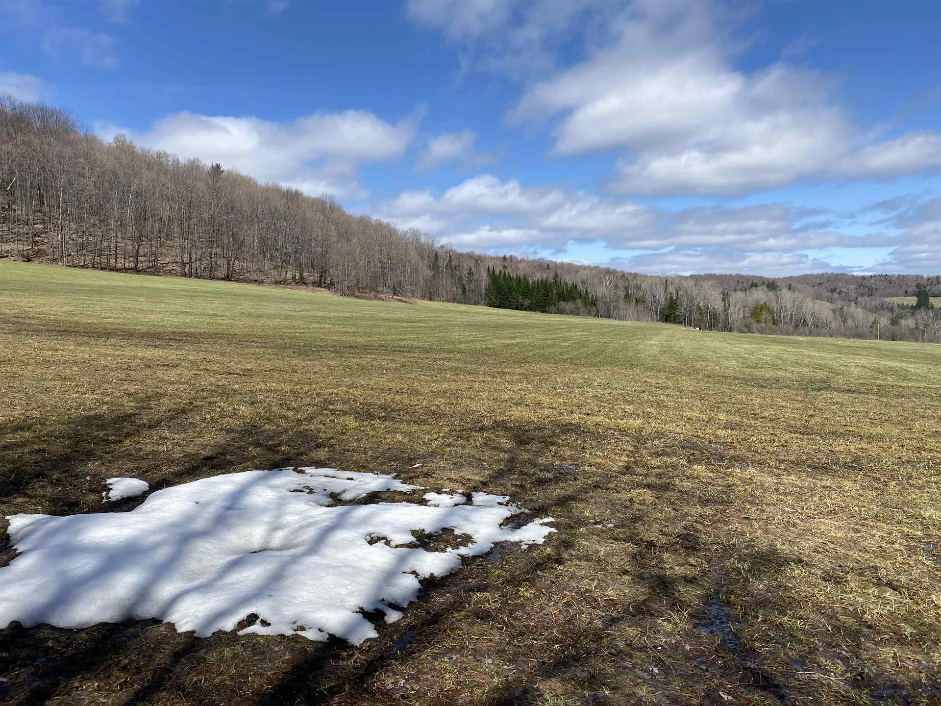 0 Williamstown Road Chelsea VT 05038