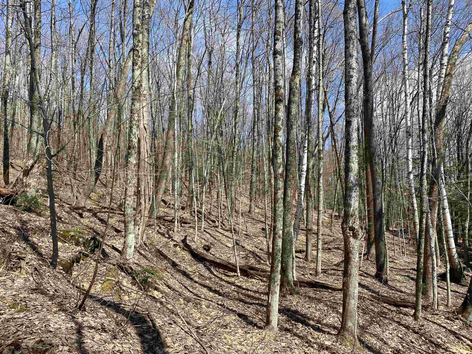 0 Williamstown Road Chelsea VT 05038