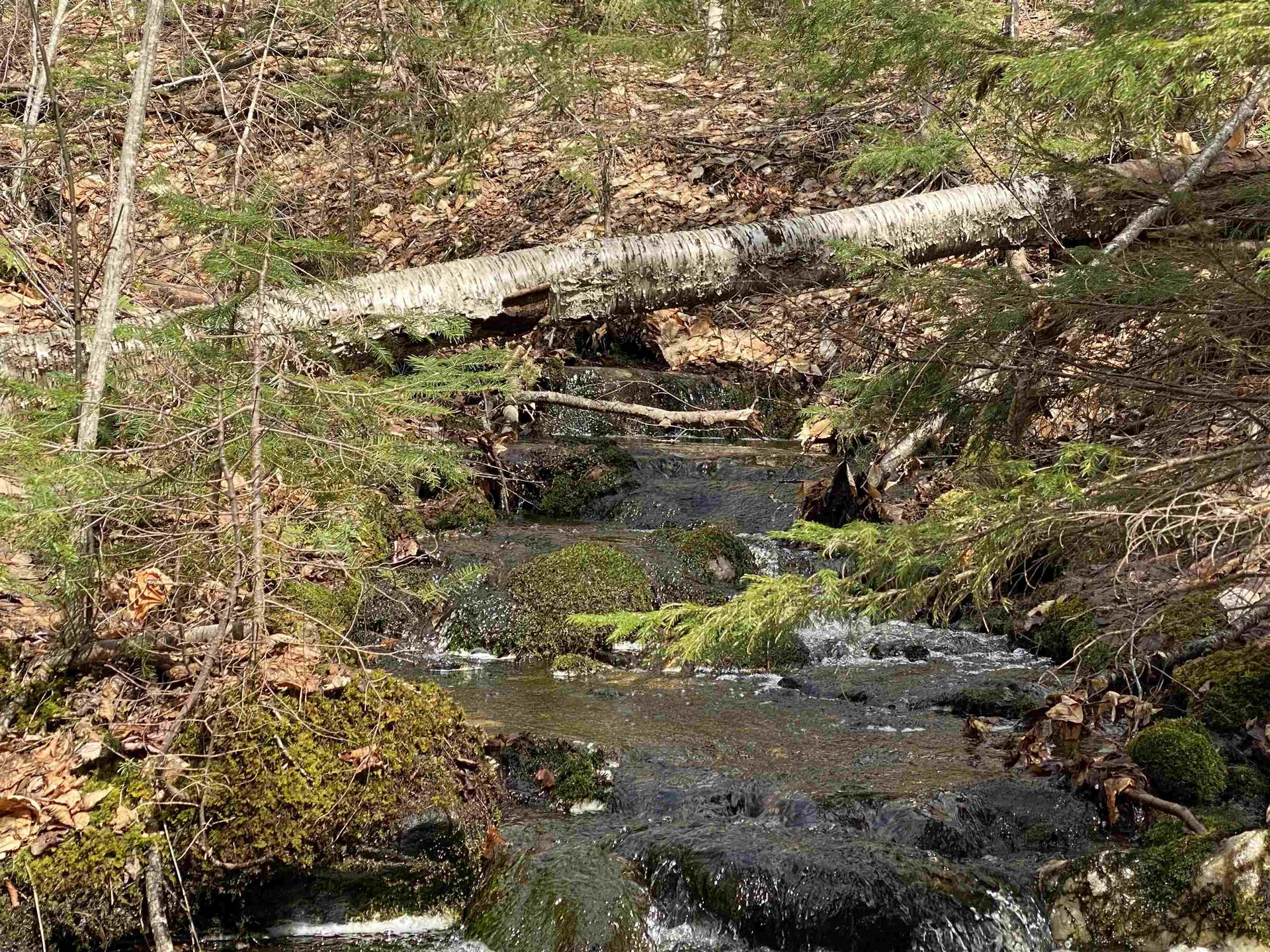 0 Williamstown Road Chelsea VT 05038