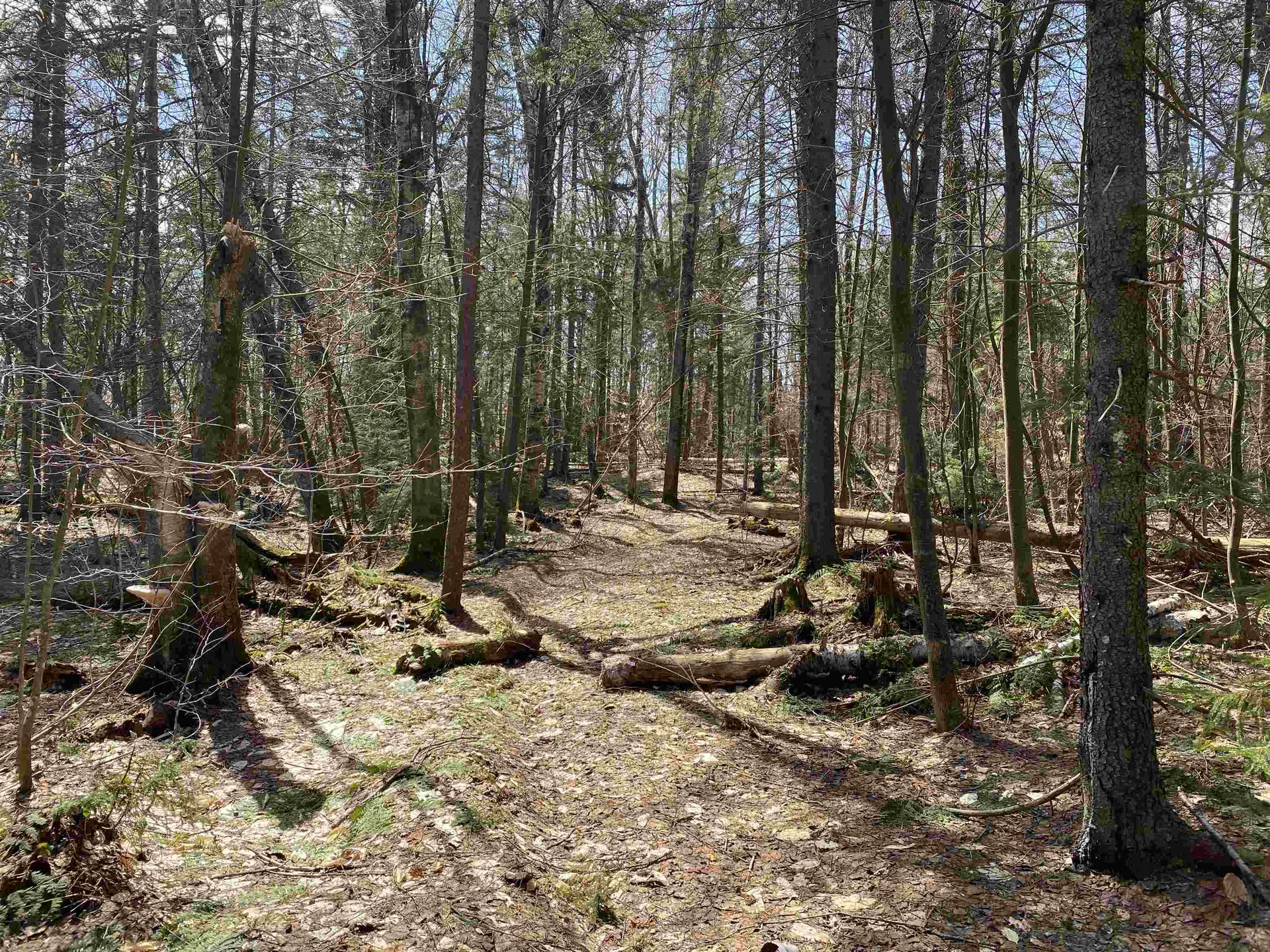 0 Williamstown Road Chelsea VT 05038
