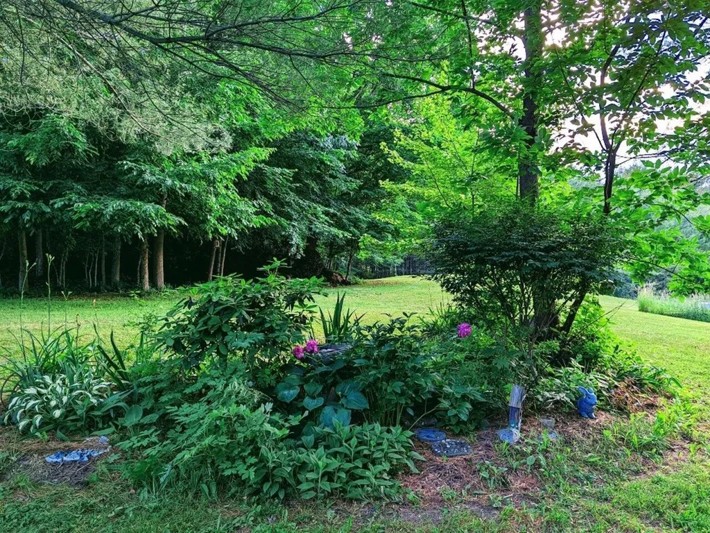 496 Braeloch Road Colchester VT 05446