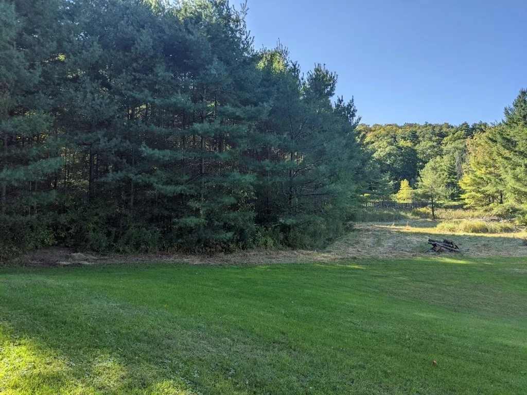 496 Braeloch Road Colchester VT 05446