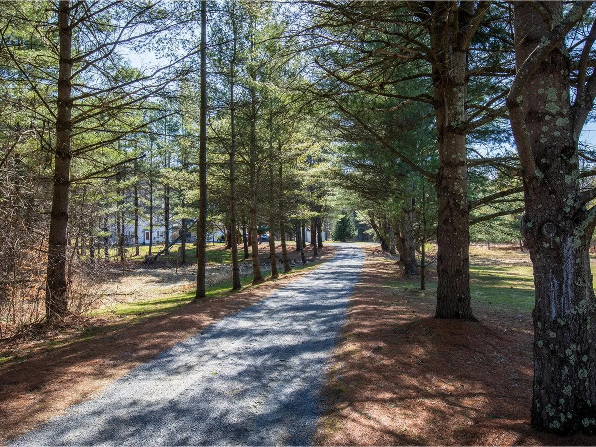 496 Braeloch Road Colchester VT 05446