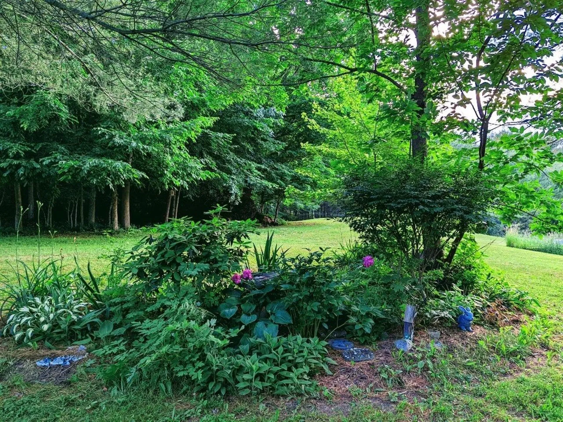 496 Braeloch Road Colchester VT 05446