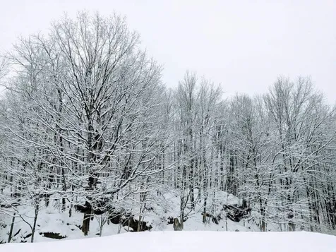 496 Braeloch Road Colchester VT 05446