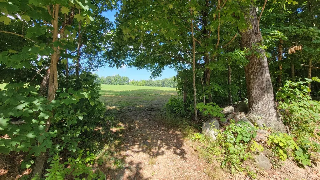 111 Kaime Road Chichester NH 03258