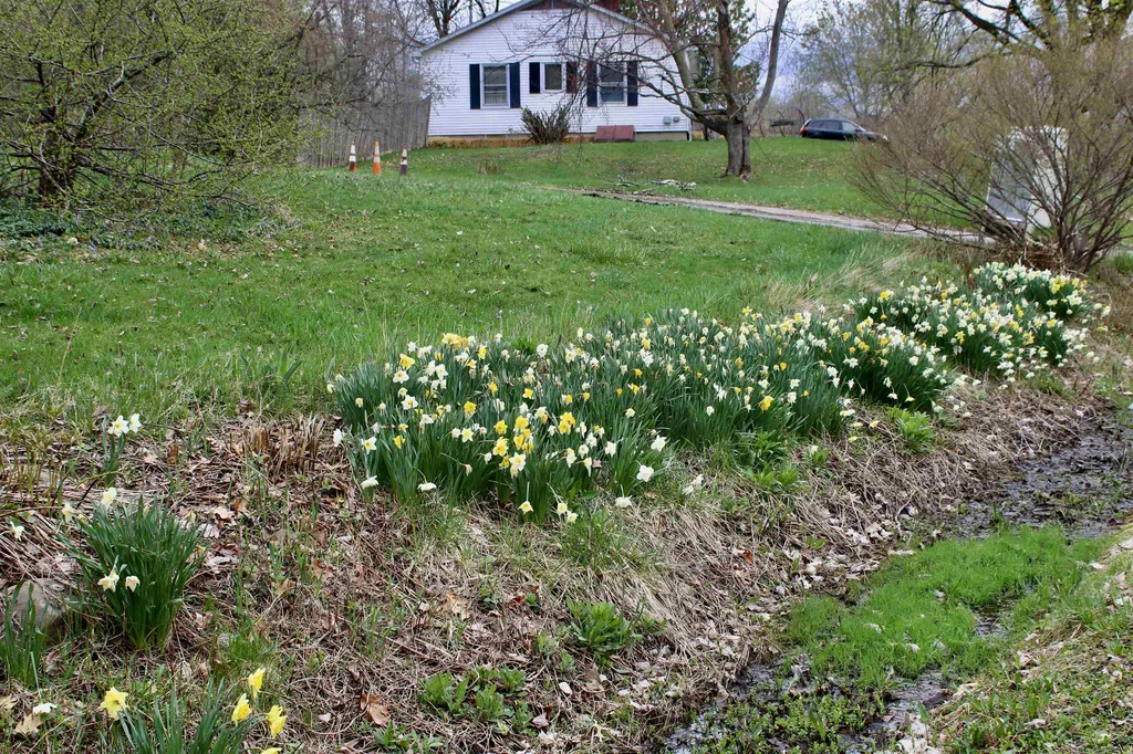 12 High Street Vergennes VT 05491