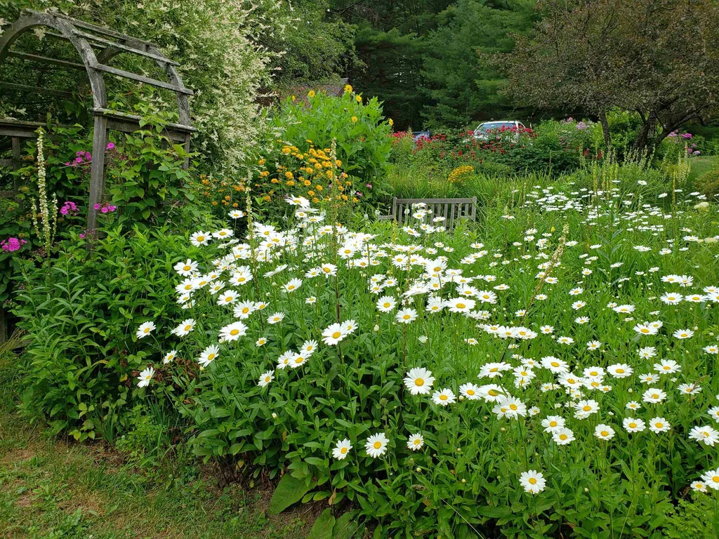 706 Lavender Road Brookfield VT 05036