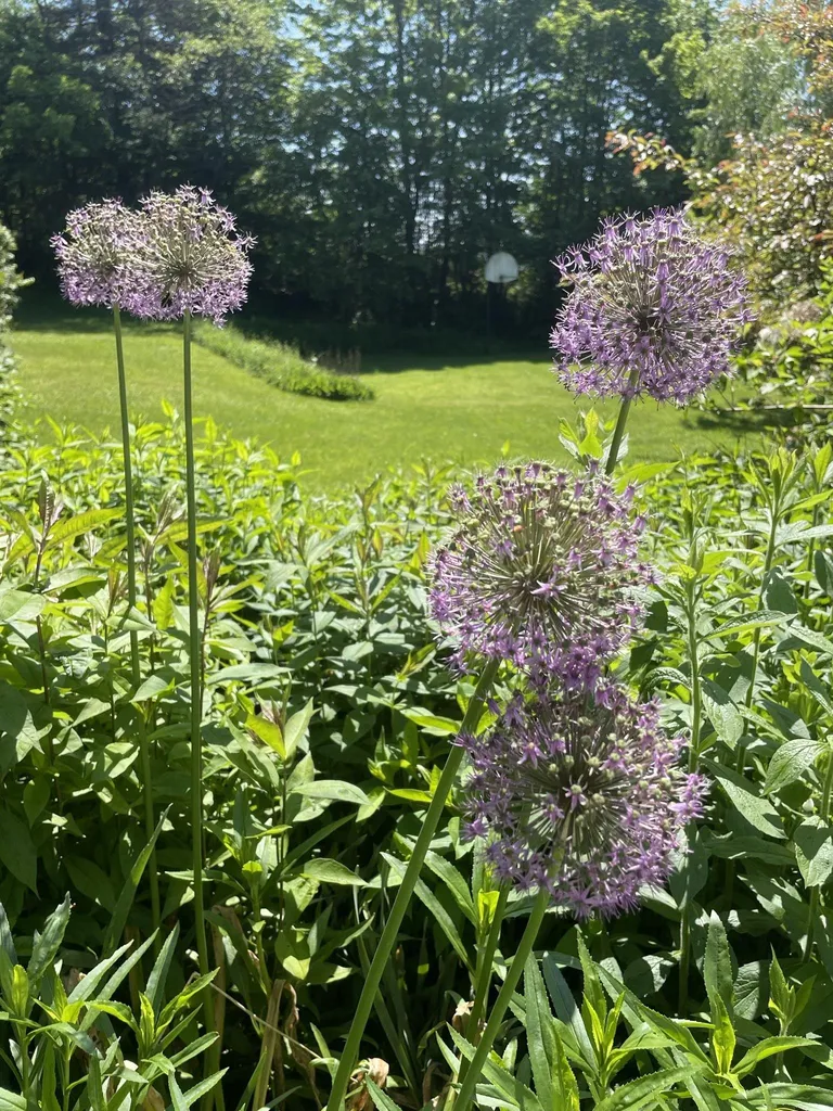 706 Lavender Road Brookfield VT 05036
