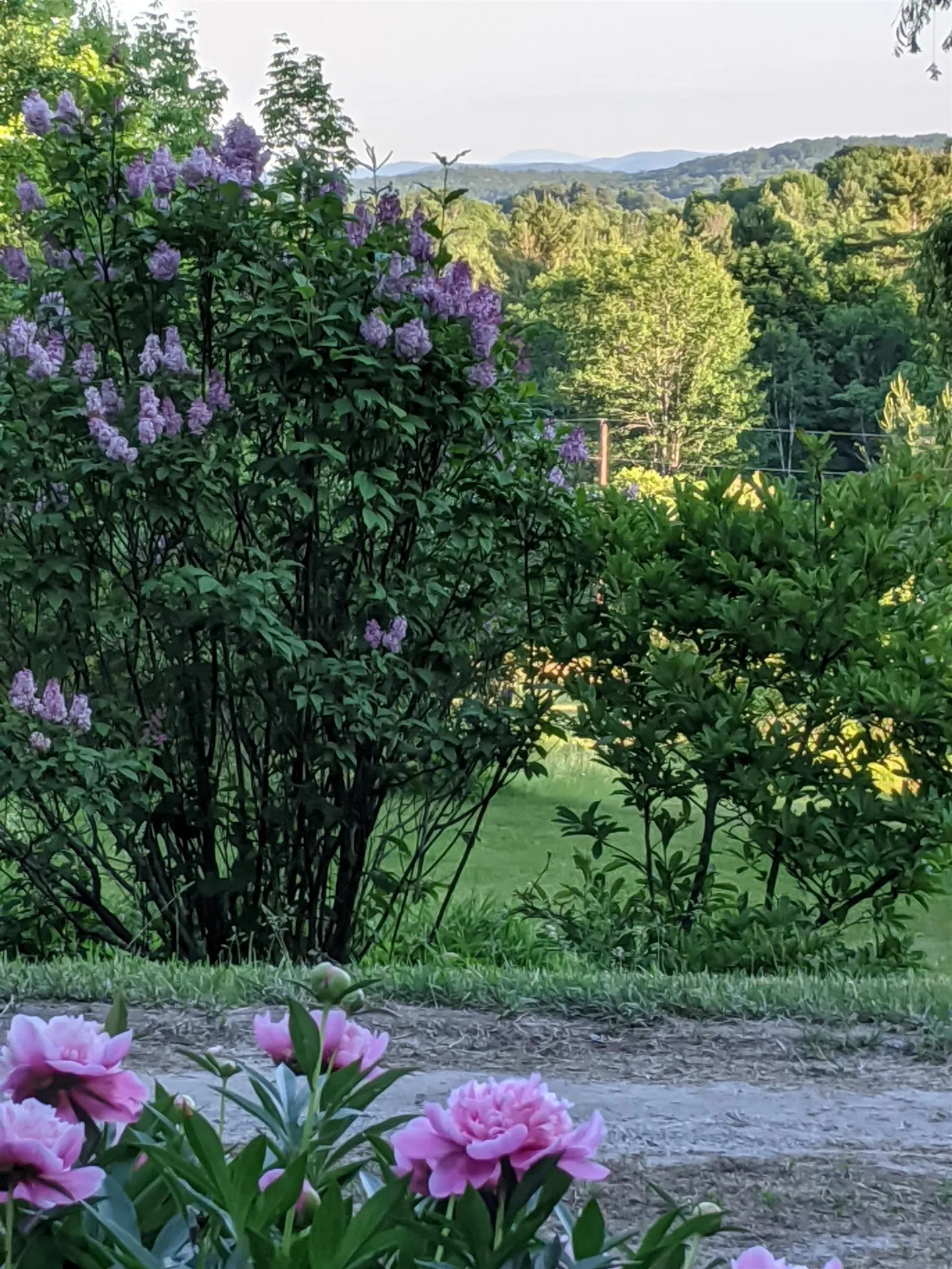 706 Lavender Road Brookfield VT 05036