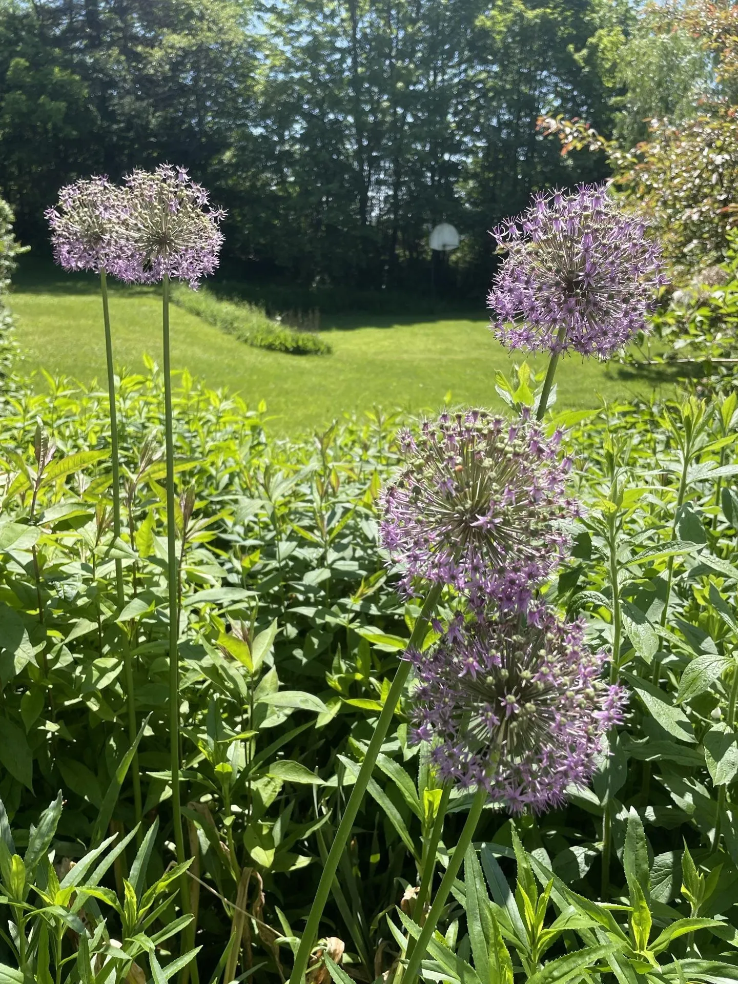 706 Lavender Road Brookfield VT 05036