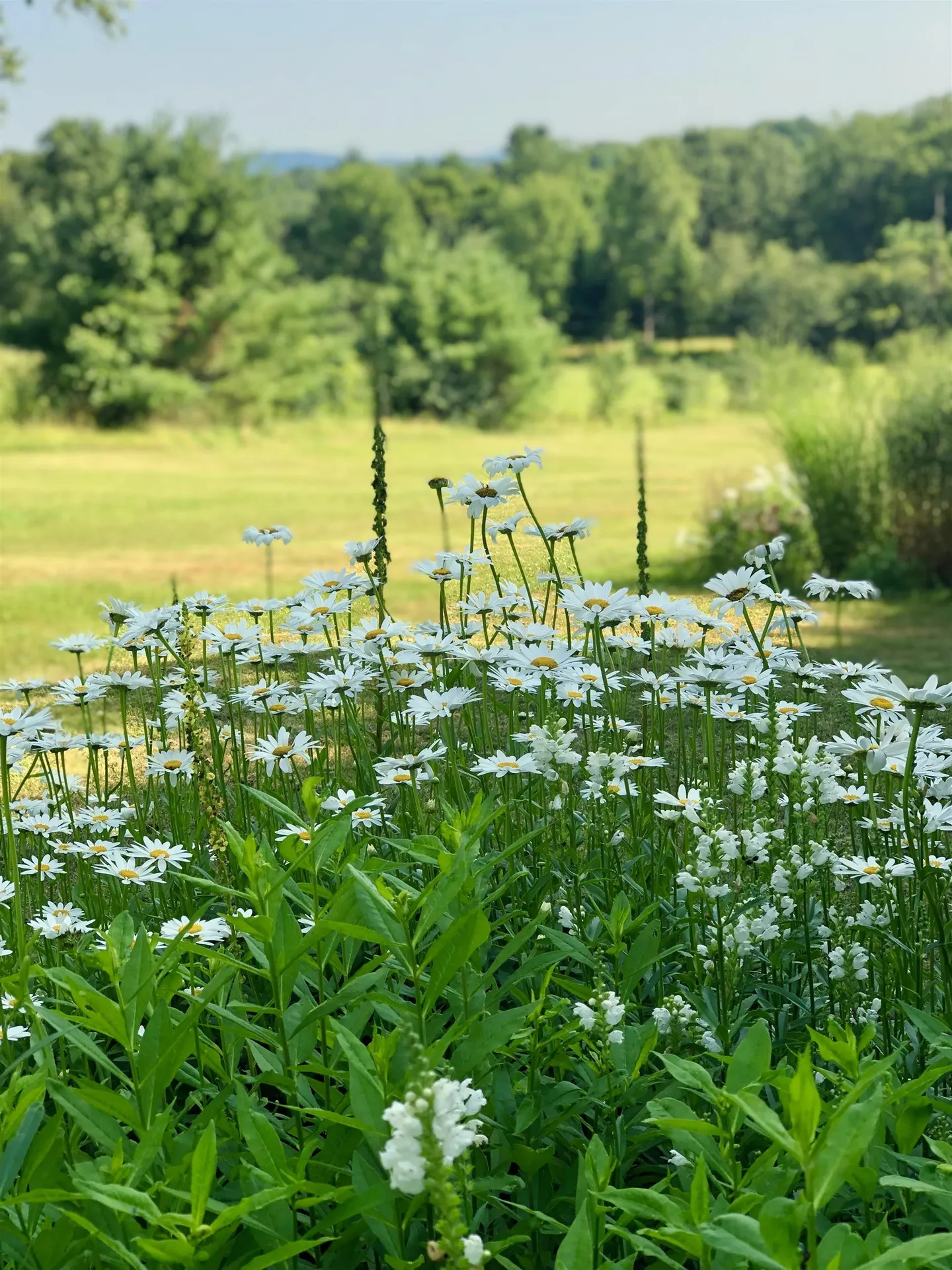 706 Lavender Road Brookfield VT 05036