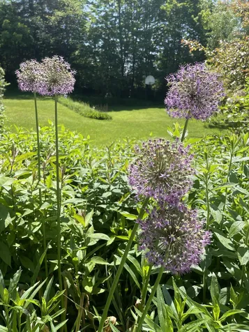 706 Lavender Road Brookfield VT 05036