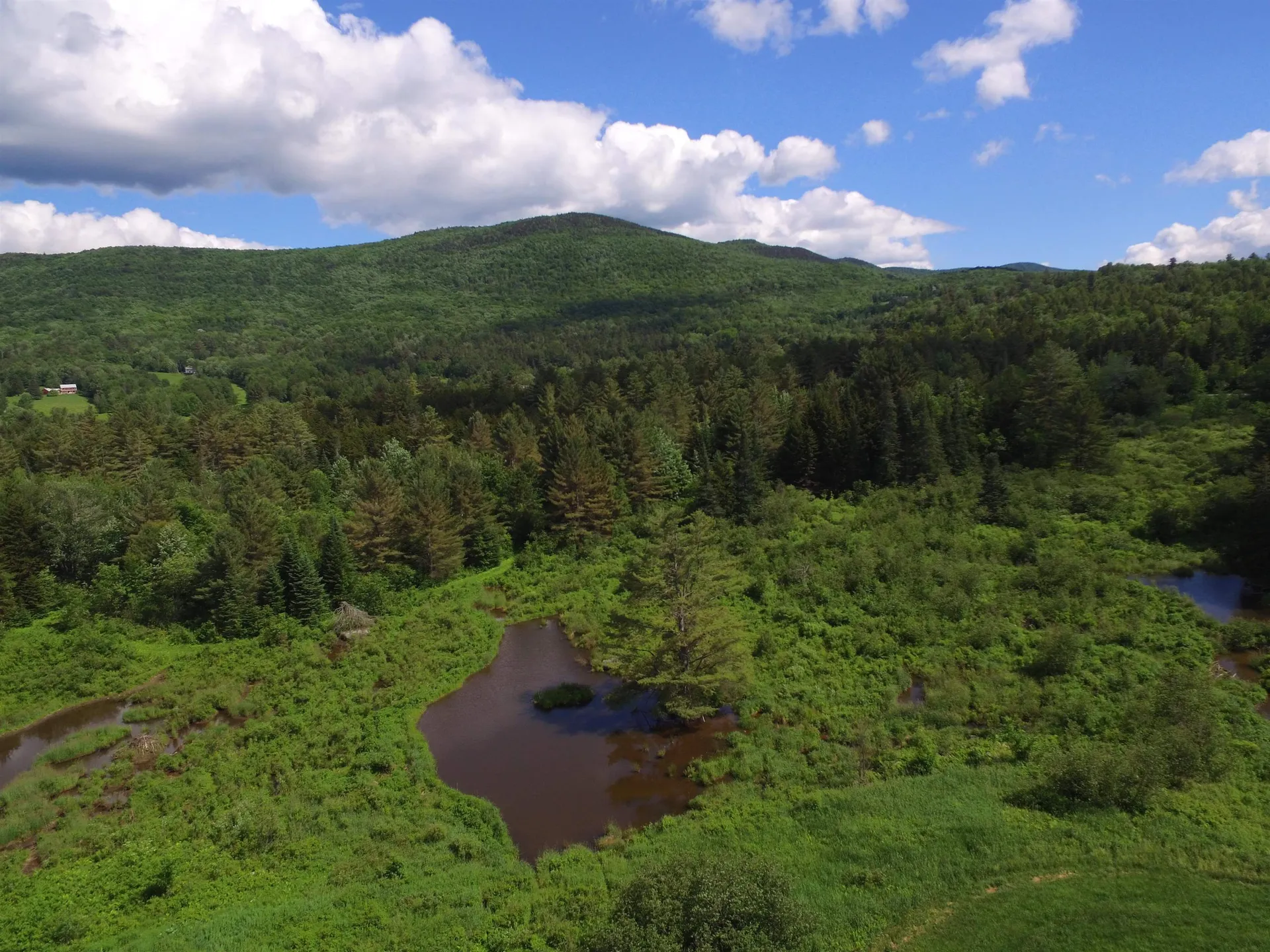 813 Plunkton Road Warren VT 05674