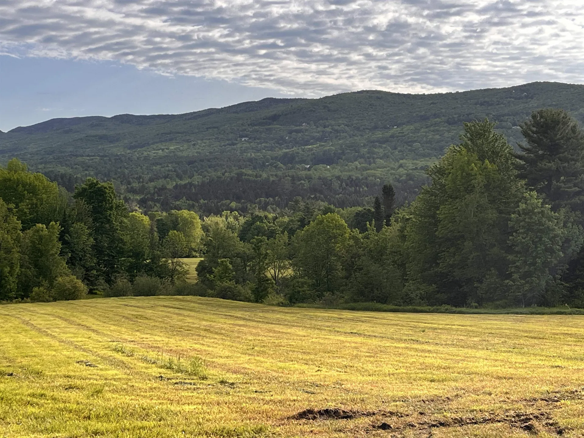 813 Plunkton Road Warren VT 05674