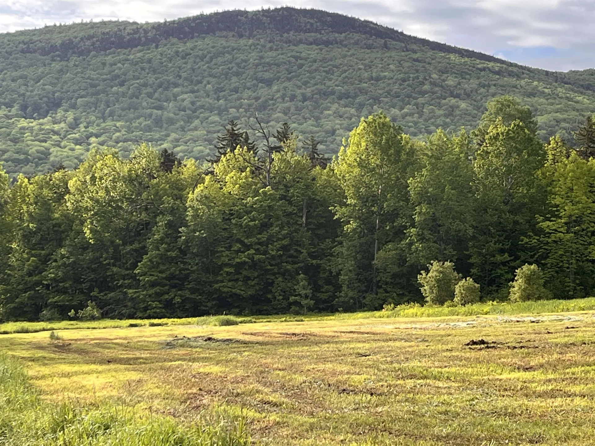 813 Plunkton Road Warren VT 05674