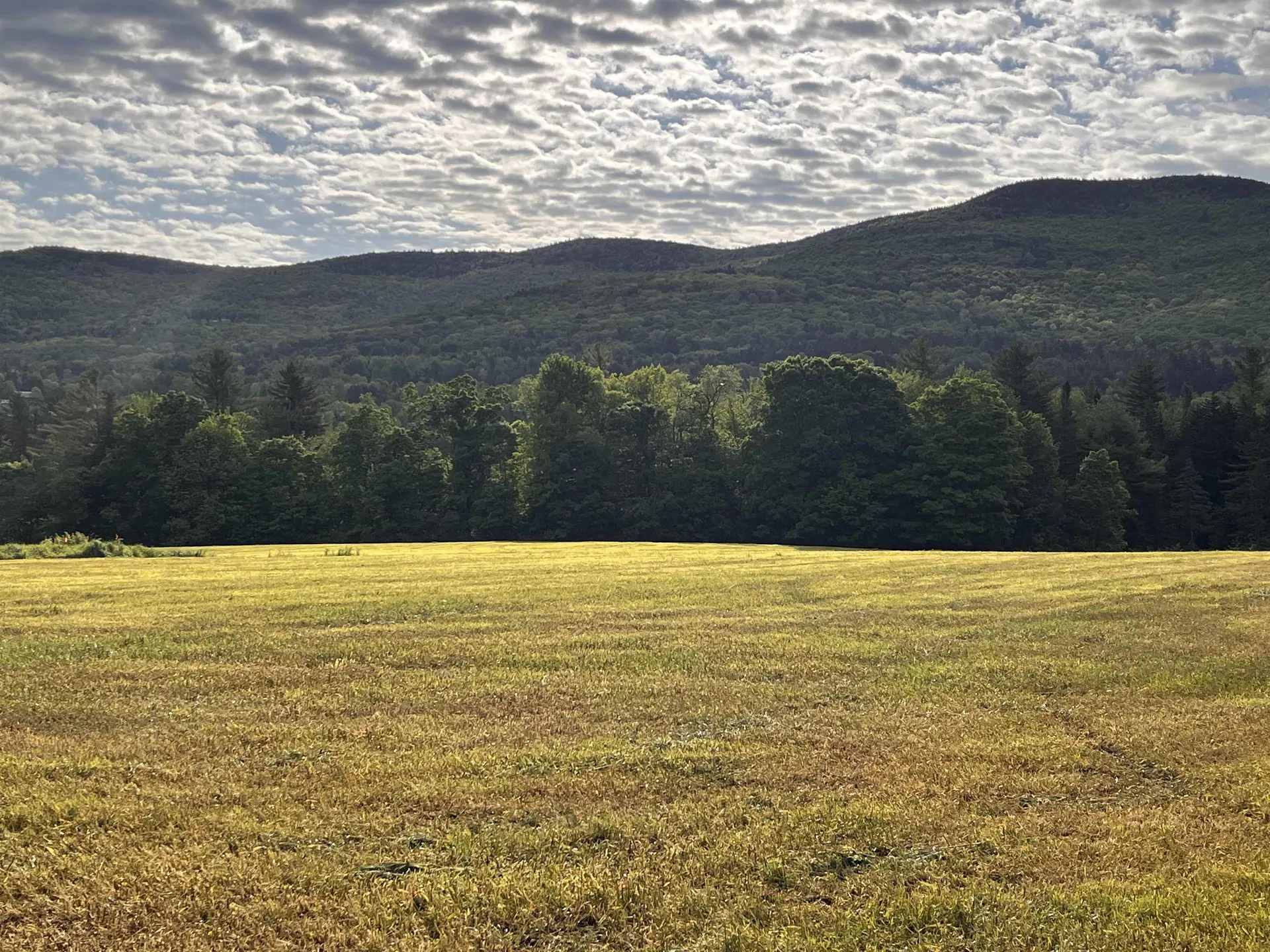 813 Plunkton Road Warren VT 05674