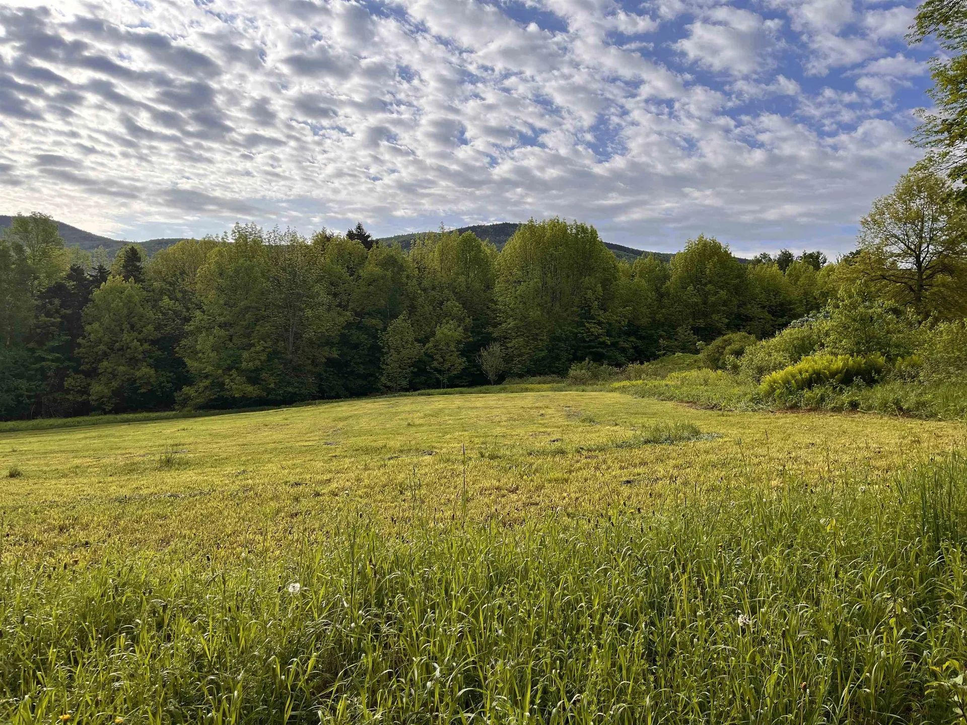 813 Plunkton Road Warren VT 05674