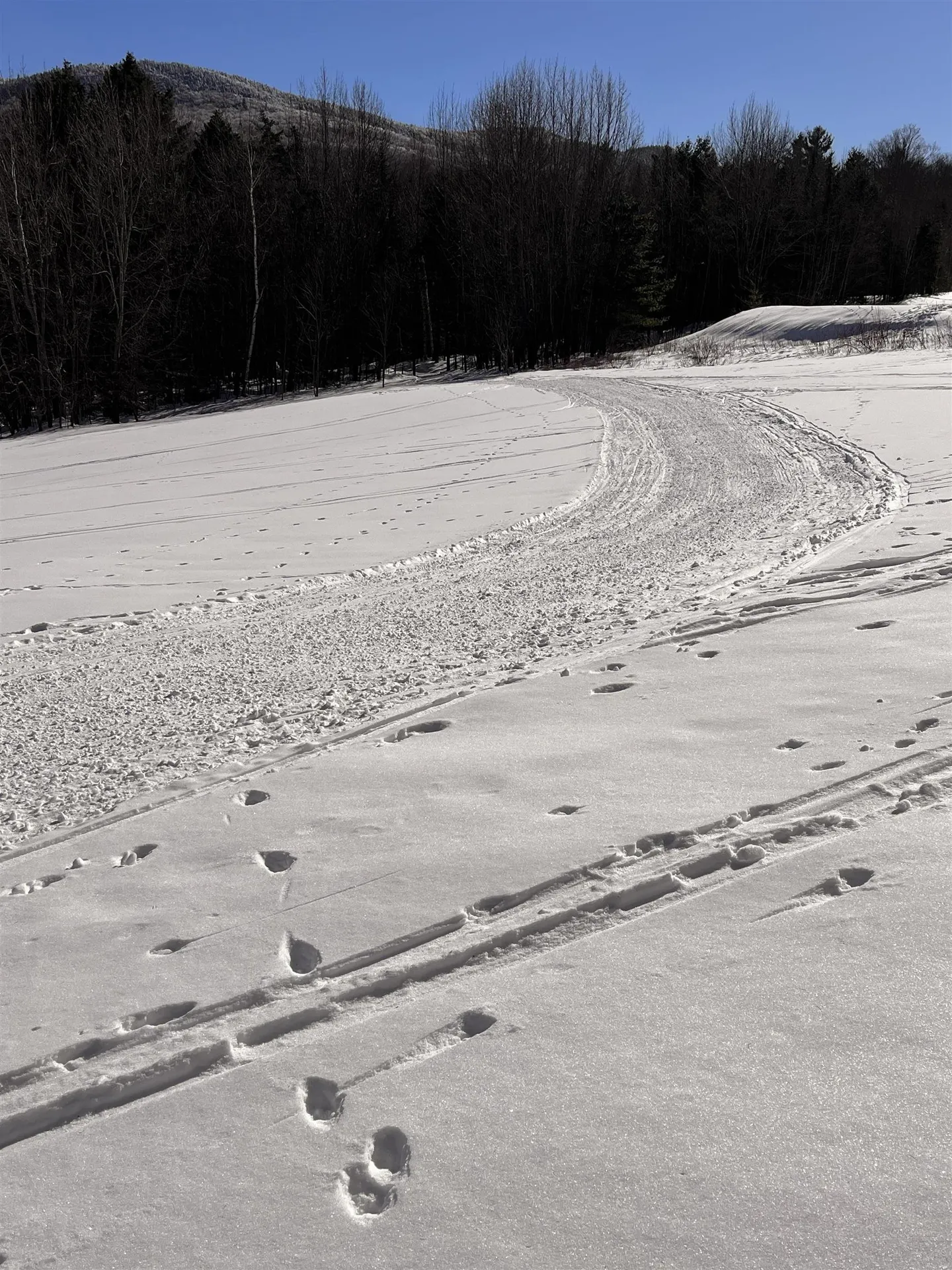 813 Plunkton Road Warren VT 05674