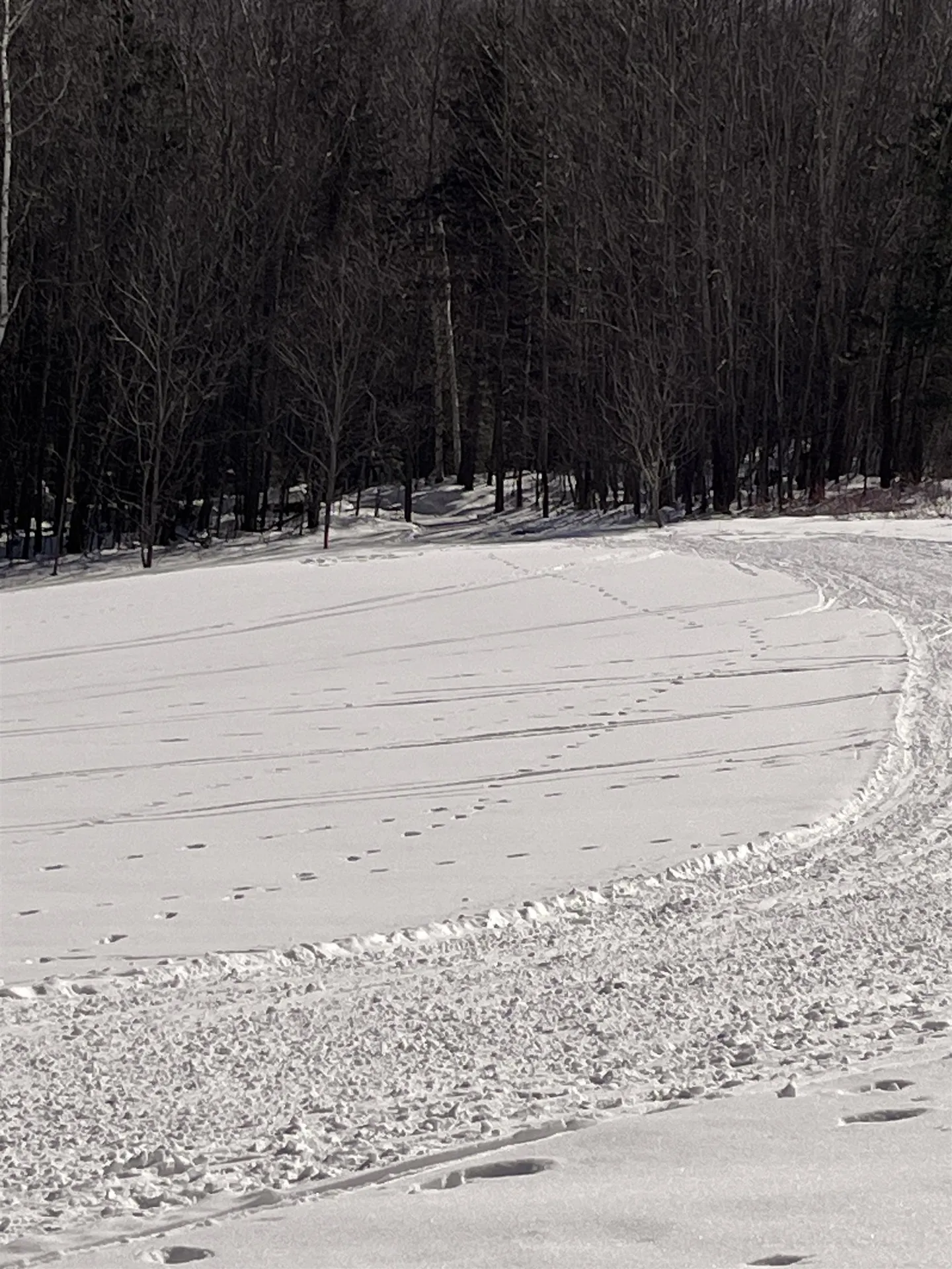 813 Plunkton Road Warren VT 05674