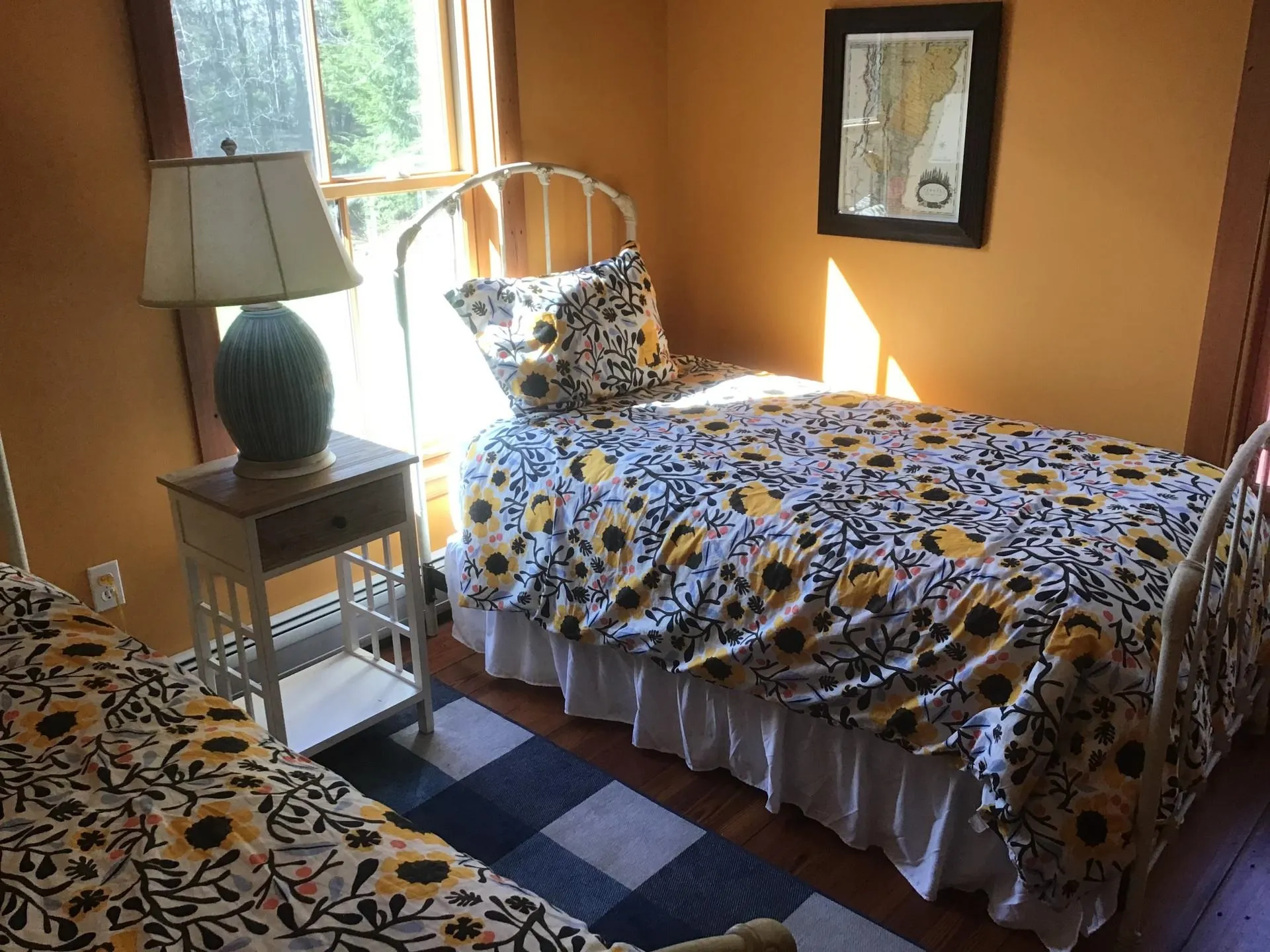 43 Blossom Lane Hyde Park VT 05655
