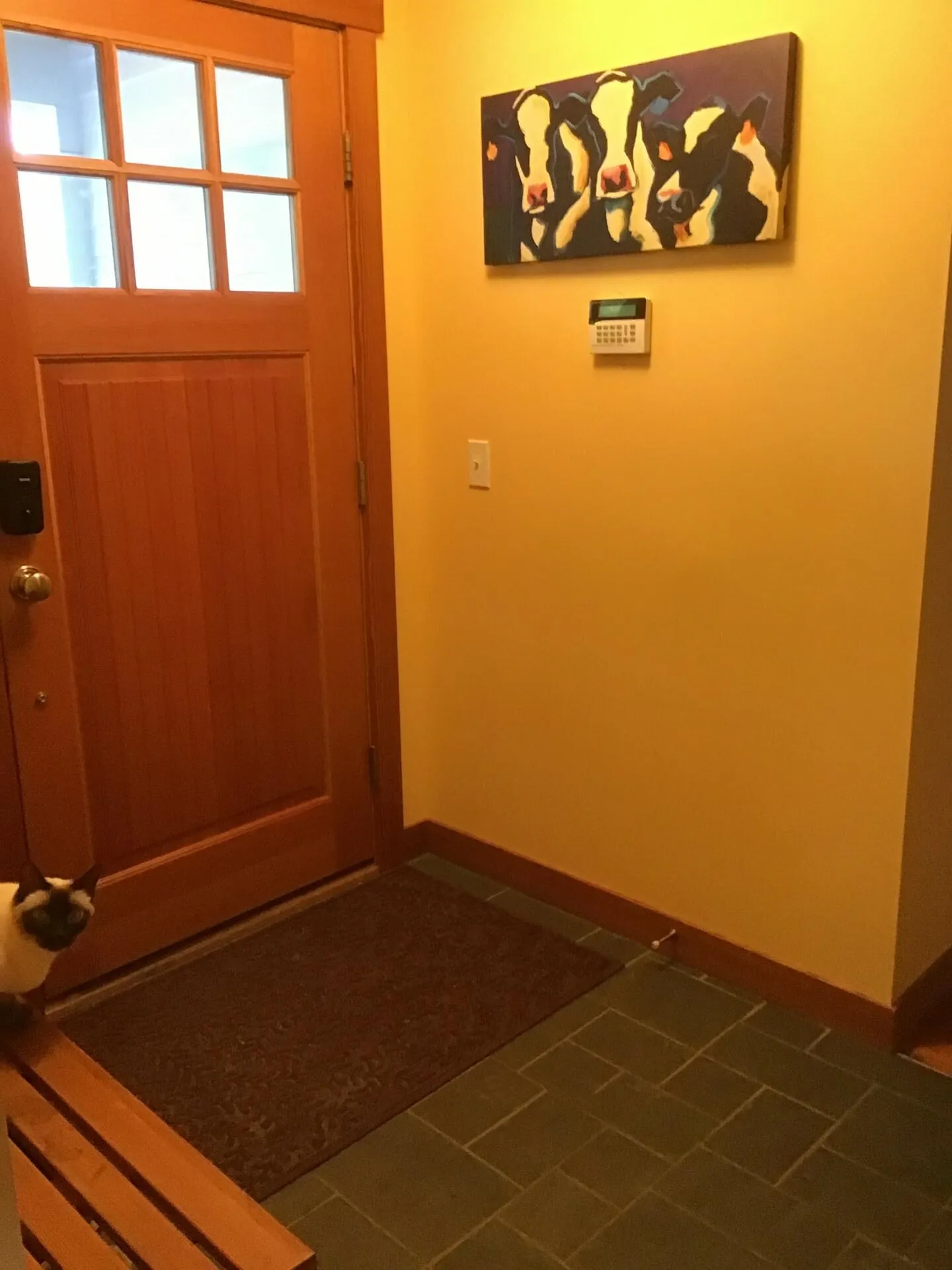 43 Blossom Lane Hyde Park VT 05655