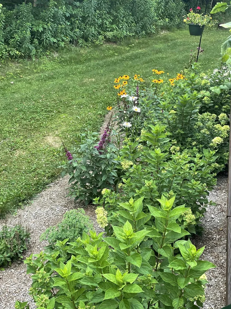 358 Cowdrey Path Woodstock VT 05071