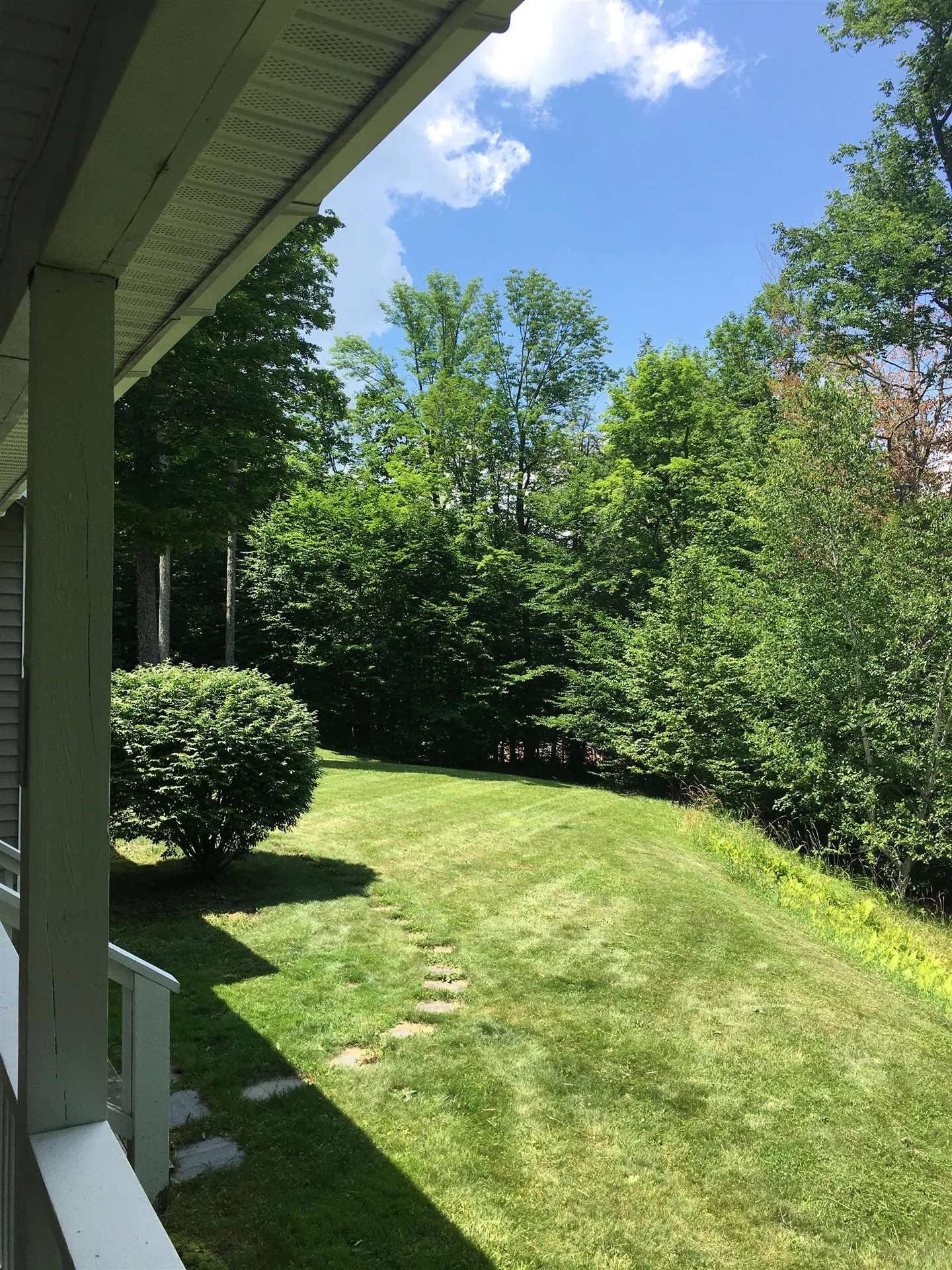 358 Cowdrey Path Woodstock VT 05071