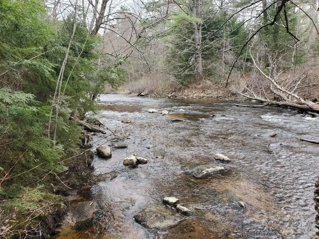 6 Beech River Circle Ossipee NH 03814