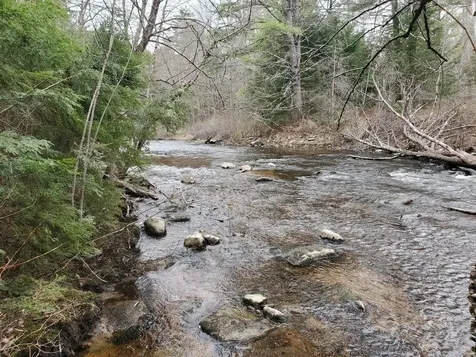 6 Beech River Circle Ossipee NH 03814