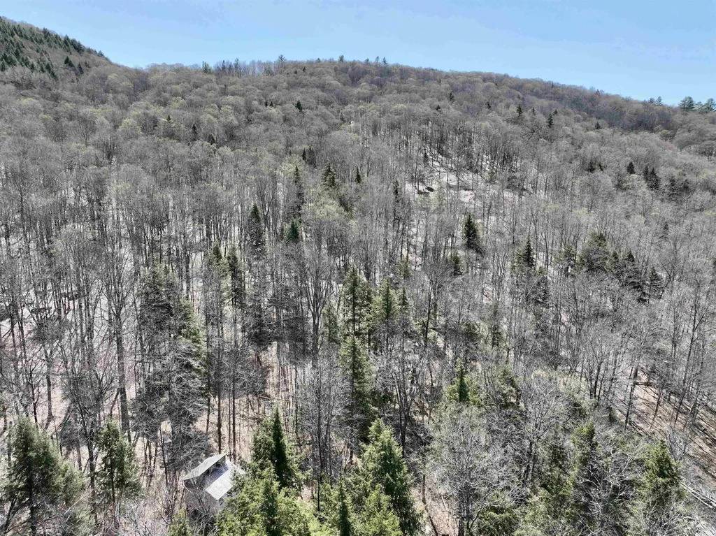58 Foundry Road Tunbridge VT 05077