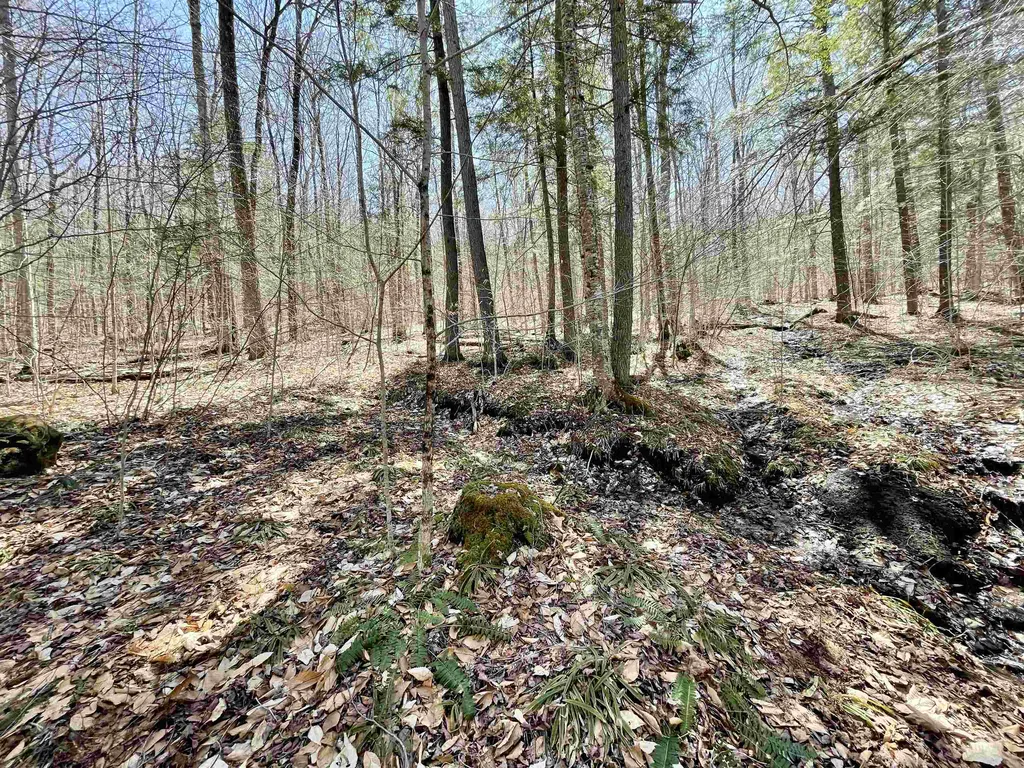 58 Foundry Road Tunbridge VT 05077